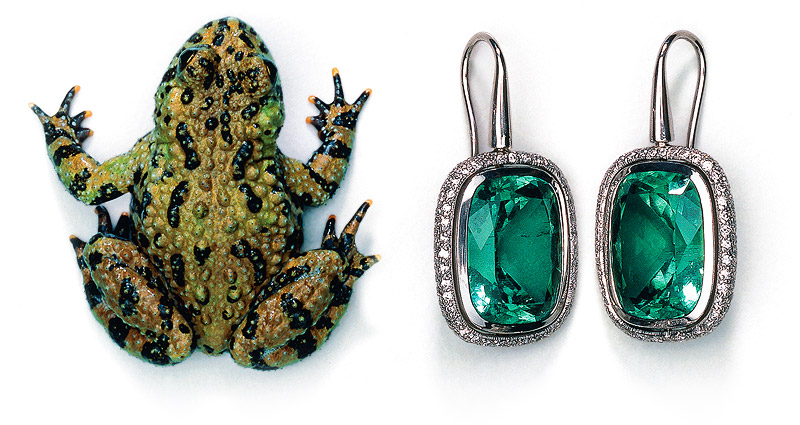 Kaeding_MainPlaceholder