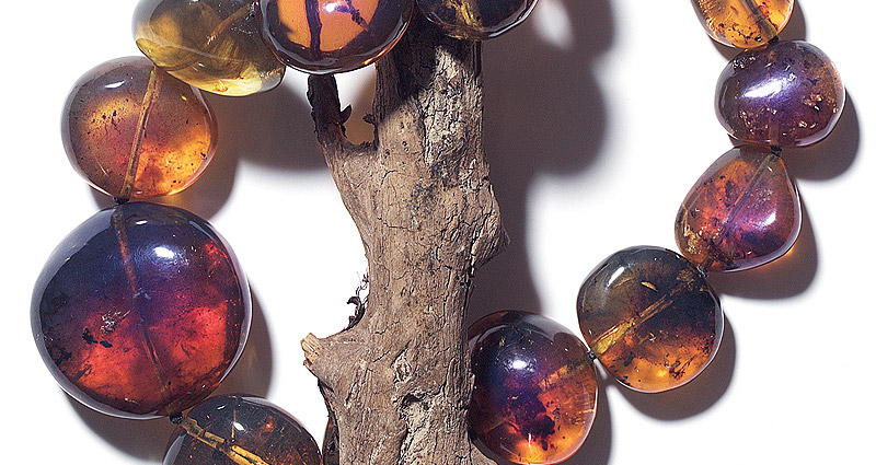 Kaeding_MainPlaceholder